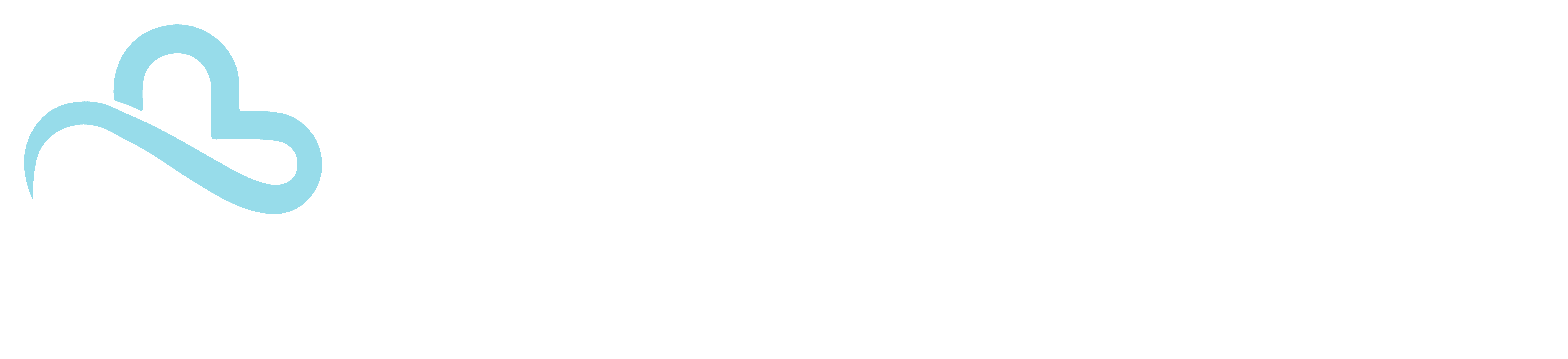 Primecare Logo
